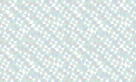 84243-1