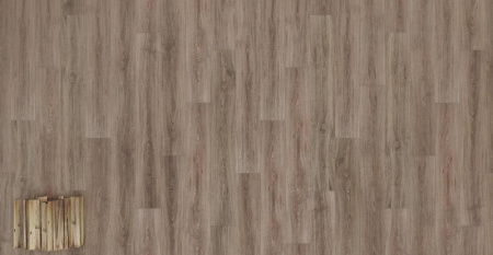 Дуб Джонсон-2