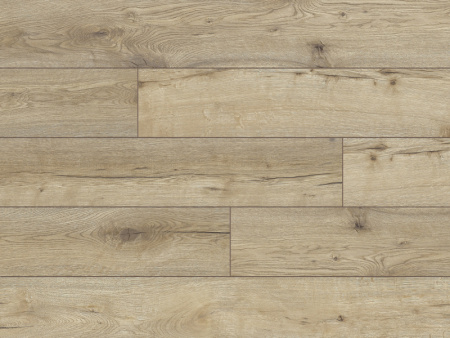 52782 Дуб Масая