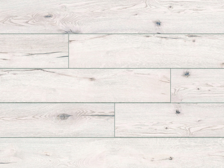 55012 Дуб Асал