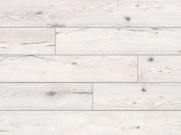 55012 Дуб Асал