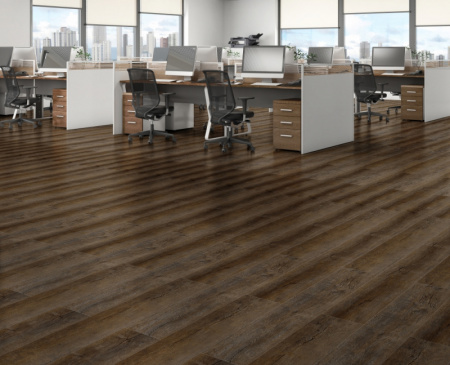 Дуб Вестхоф