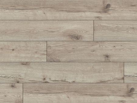 52787 Дуб Титикака-4