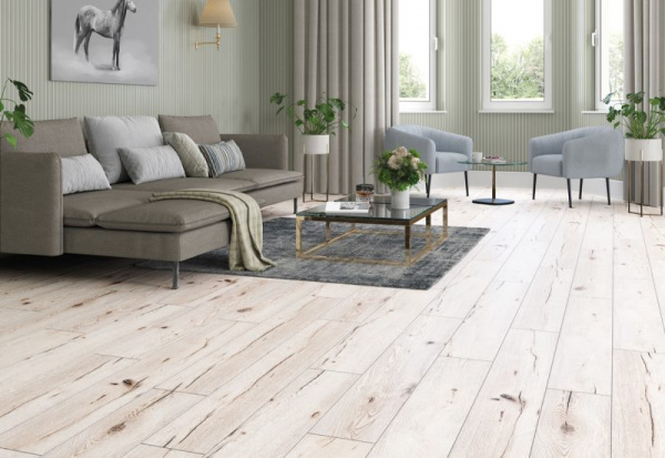 52787 Дуб Титикака-1