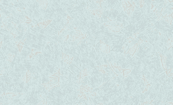 Обои Tiara ERISMANN 60241-07