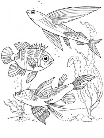 38
