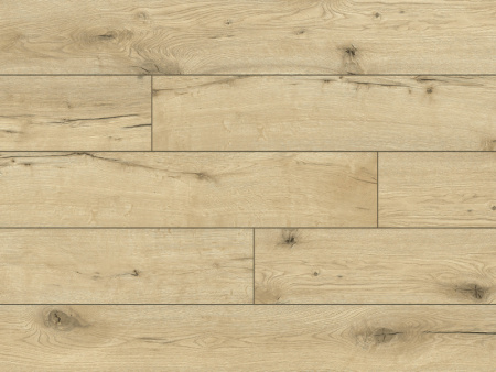 52783 Дуб Тангалика