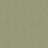 Pantone 989923