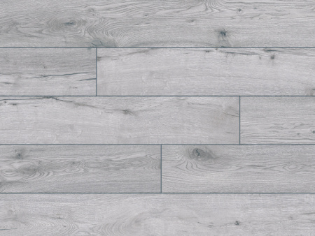 52786 Дуб Туркана