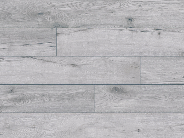 52786 Дуб Туркана