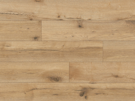 54852 Дуб Патос