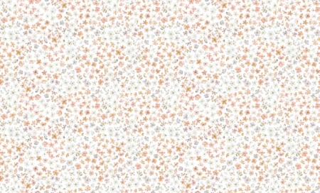 84240-6 (1)