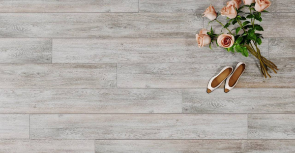 Дуб Тенерифе-2