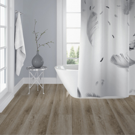 Дуб Гленвей