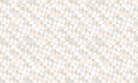84243-2 (1)