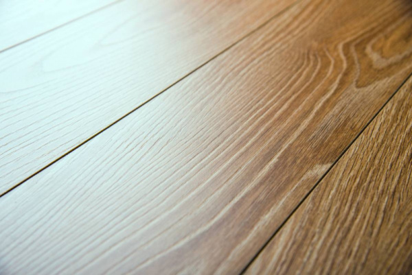 Дуб Морелла 54816-2