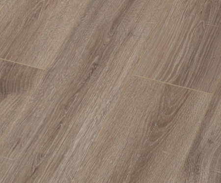 Дуб Джонсон-1