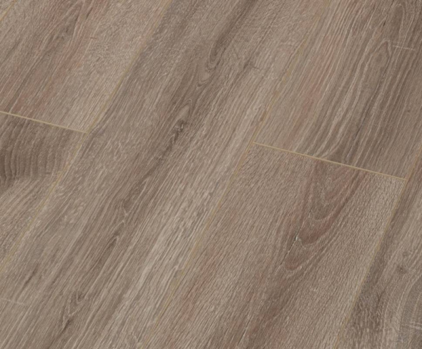 Дуб Джонсон-1