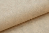 168491-13-1