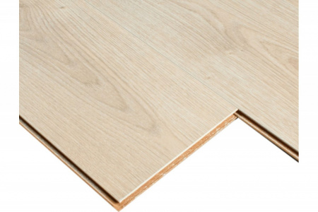 Дуб Астина светлый-3