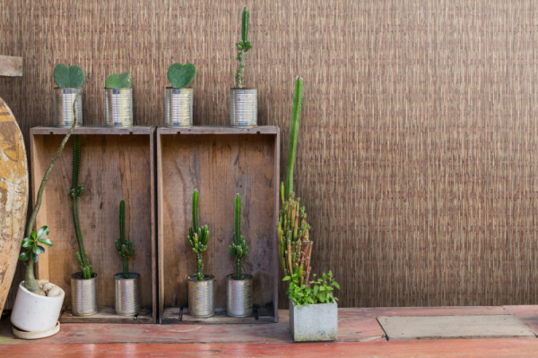 12009-11_room03_wildmix