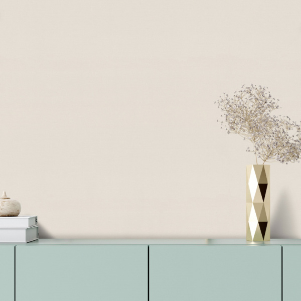 7299-01-интерьер