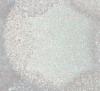 9067-04