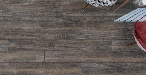 Дуб Бремен-2