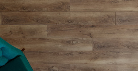 Дуб Берлин-2