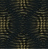 59704056