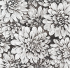 10469-05