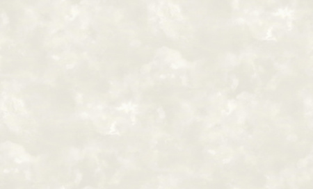 281822
