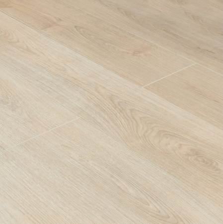 Дуб Астина светлый-2