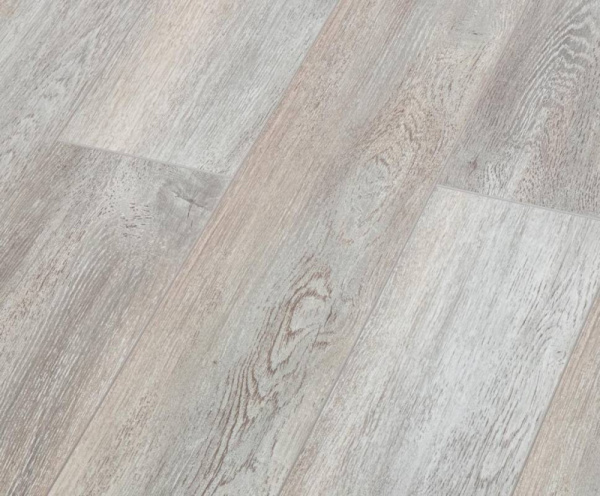 Дуб Тенерифе-1